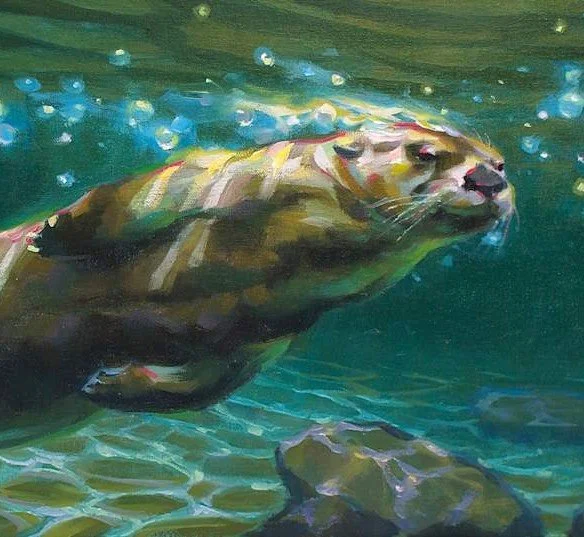 Otter - Copy.jpeg
