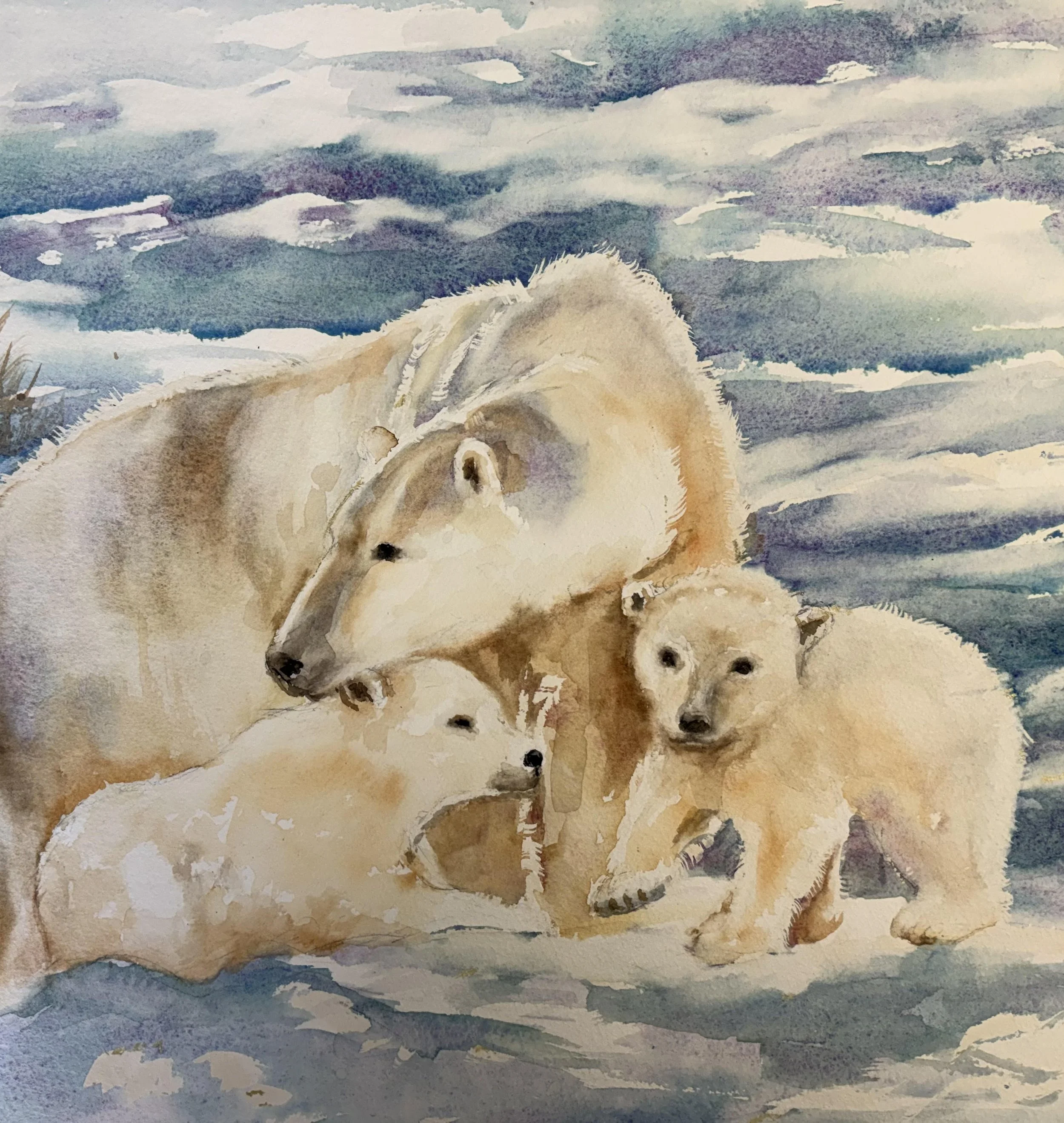 Painting Wildlife in Watercolor w/ Denise Cole: Sep 12-13:  All Levels