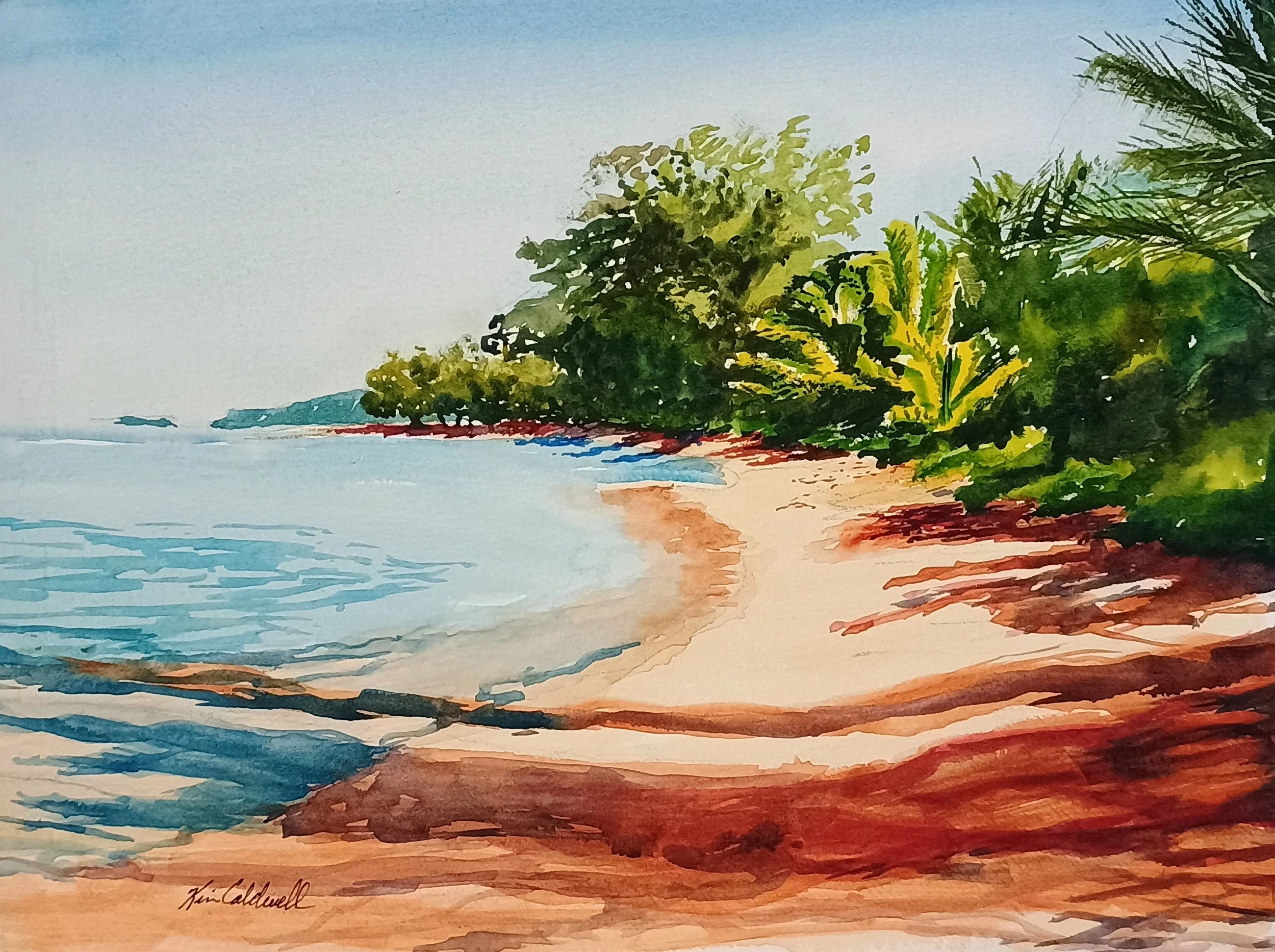 Anini Beach Kauai.jpg