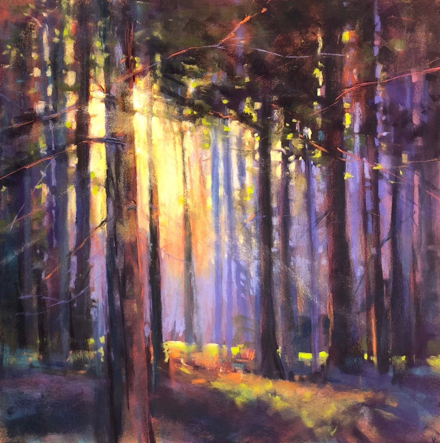 A Houston_Wooded Symphony_18x18 pastel_1300.jpeg