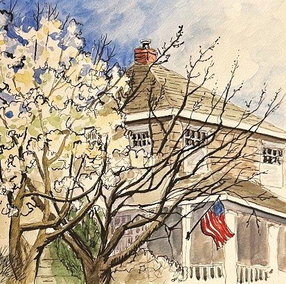 White house - tree-kathleen.jpg