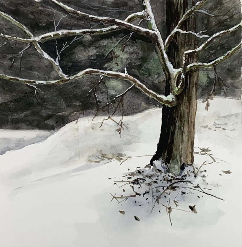Tree in the snow.jpg