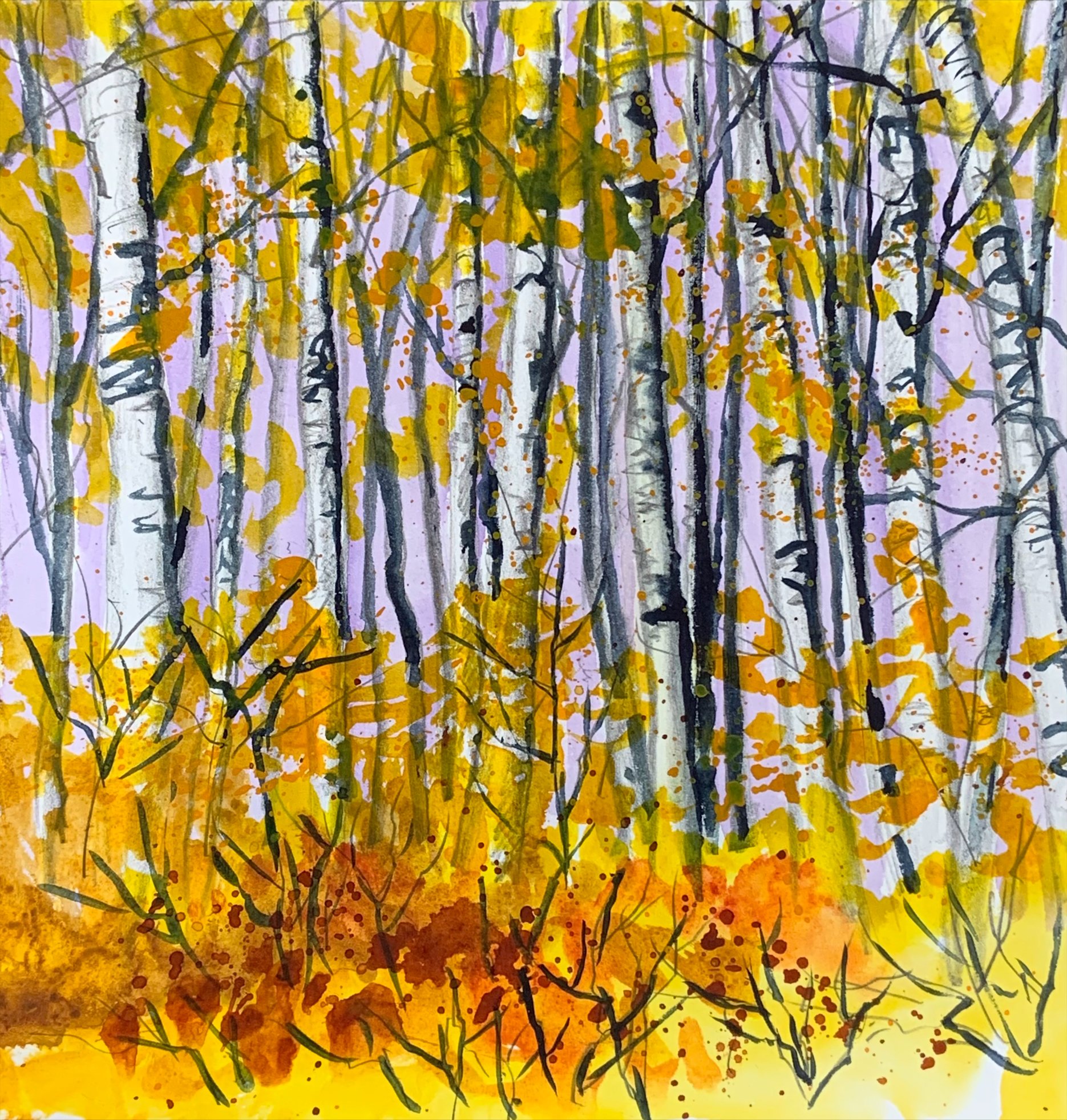 falls trees 2.jpeg