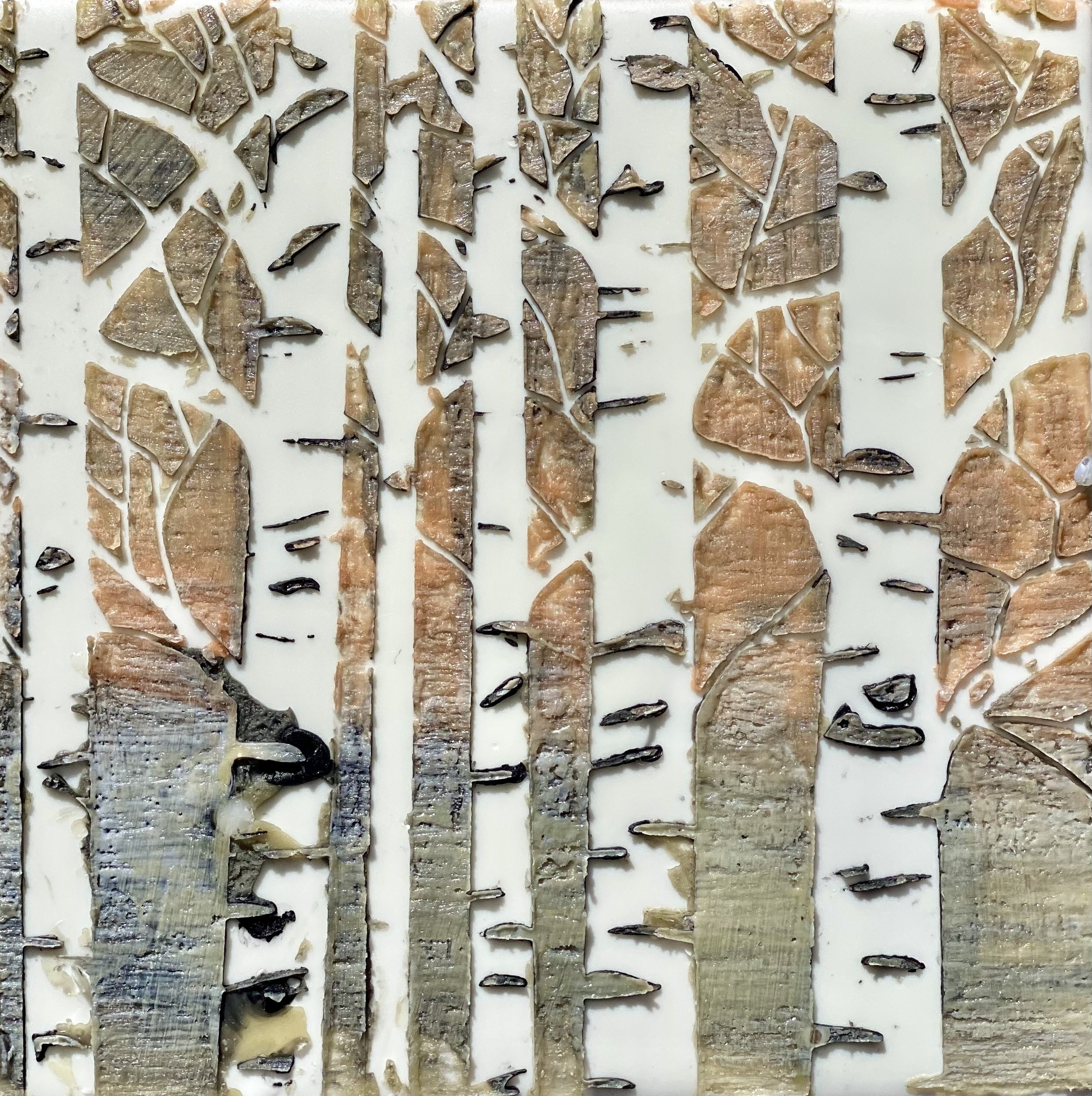 Birch Trees 2.jpg