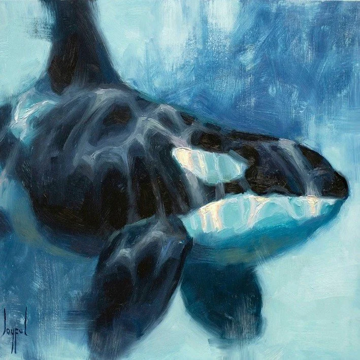 Joyful Ward_Set_Me_Free_11x14_oil_.jpeg