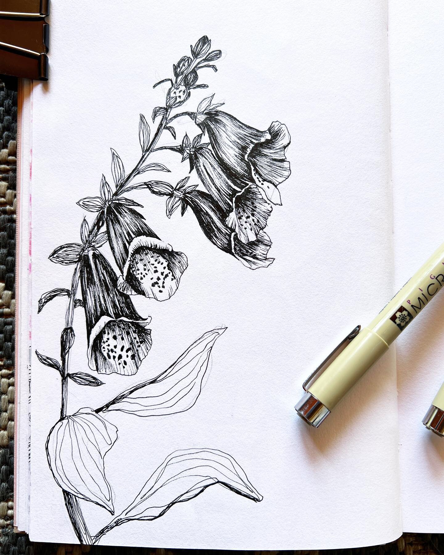 Foxgloves from the garden

#sketchbook #sketchdaily #illustragram #floral #flowers  #foxglove #penandink  #instaart #artistsoninstagram #marisabeljolieart