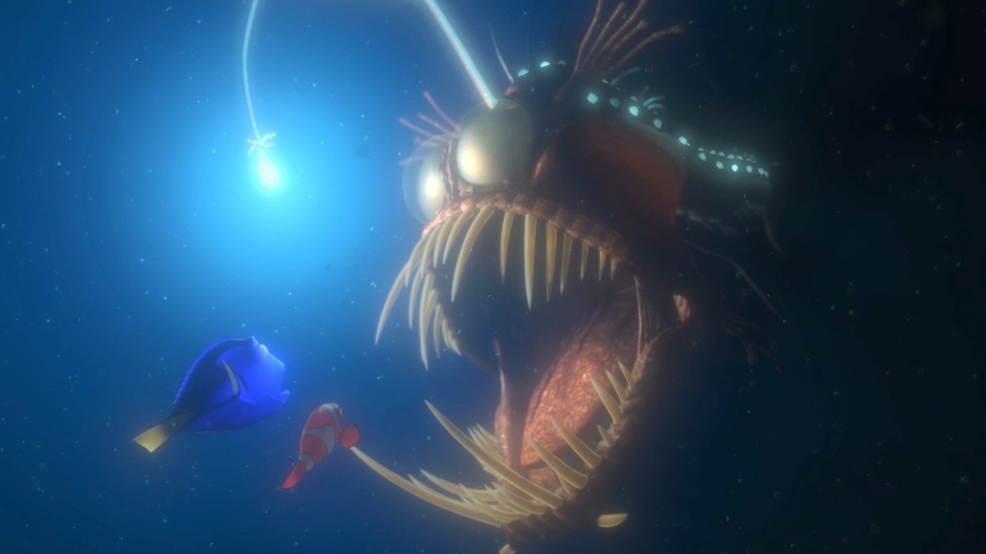 Finding Nemo