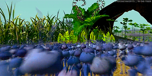 A Bug's Life