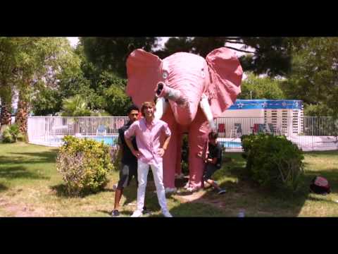 Pink Elephant