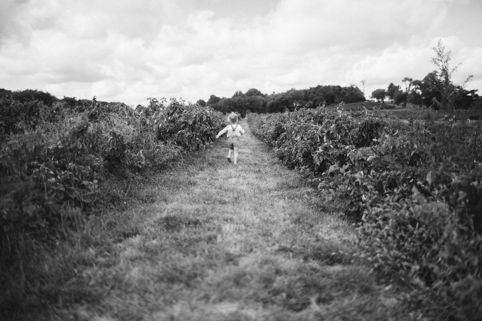 Apple Picking 2013 FB-6.jpg