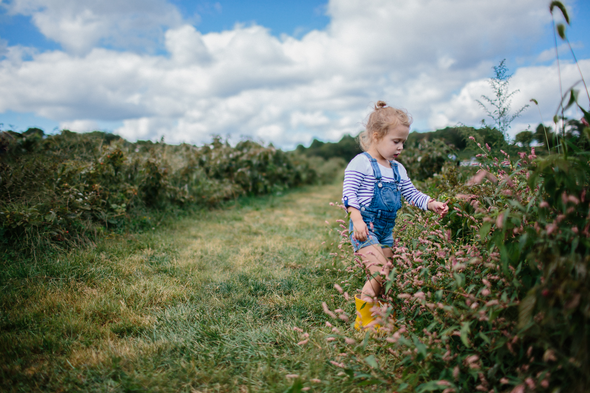 Apple Picking 2013 FB-11.jpg