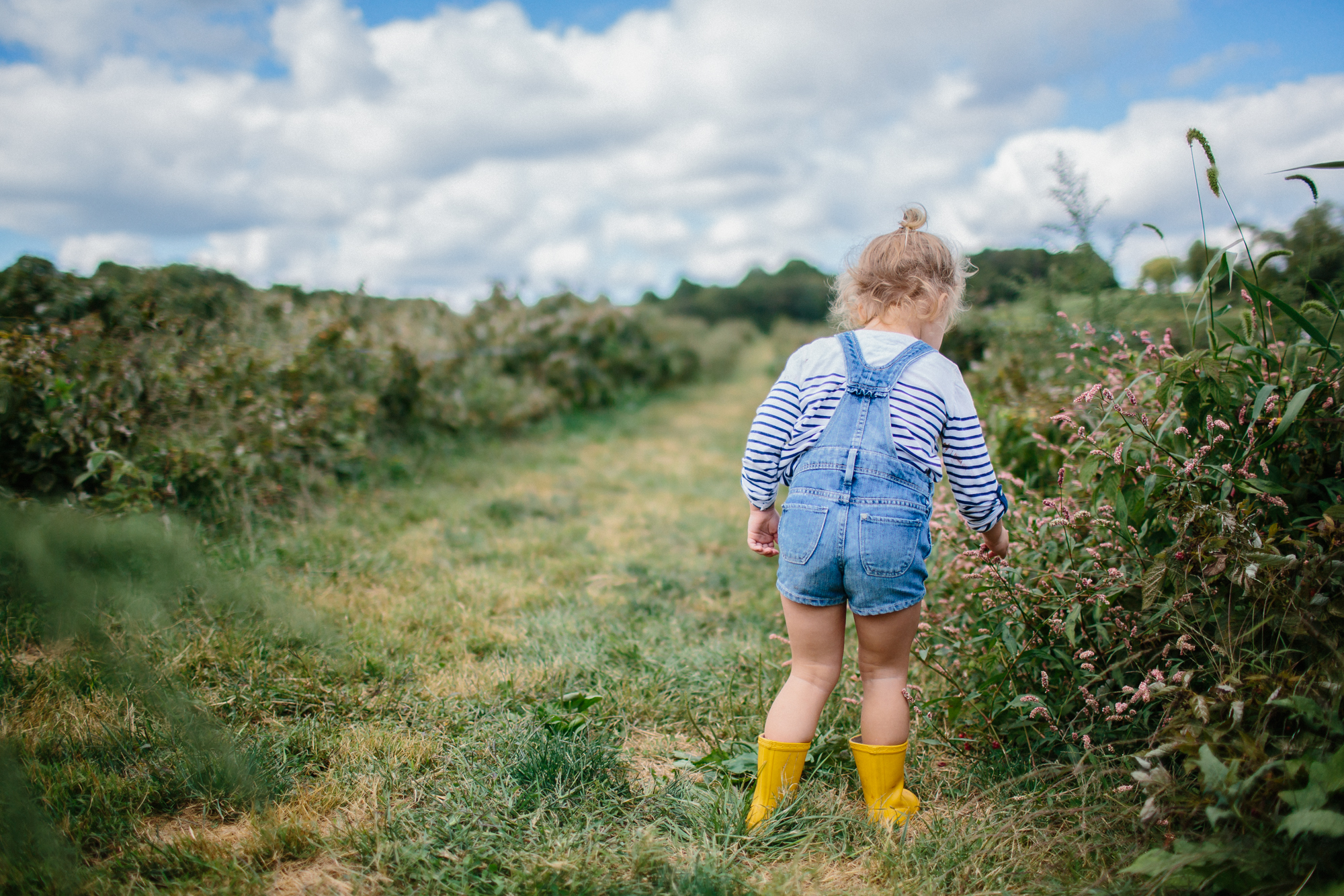 Apple Picking 2013 FB-12.jpg