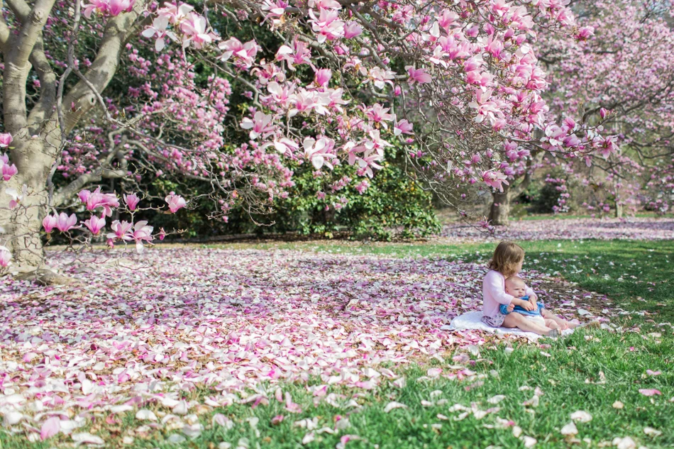 Arboretum April 2014 Blog-14.jpg