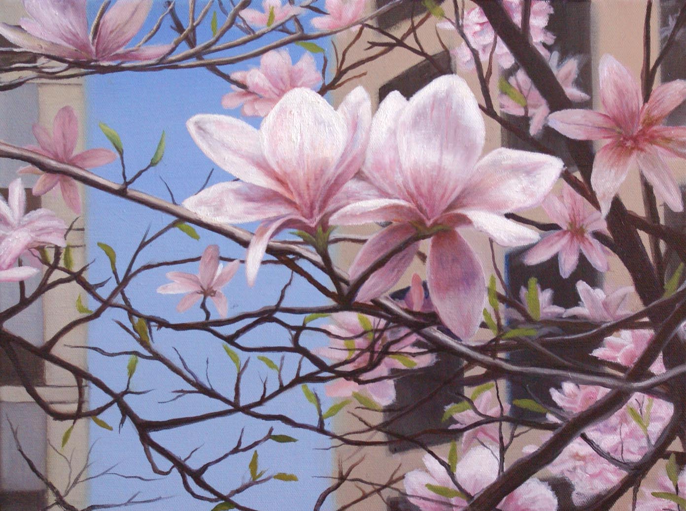 Spring Blossoms