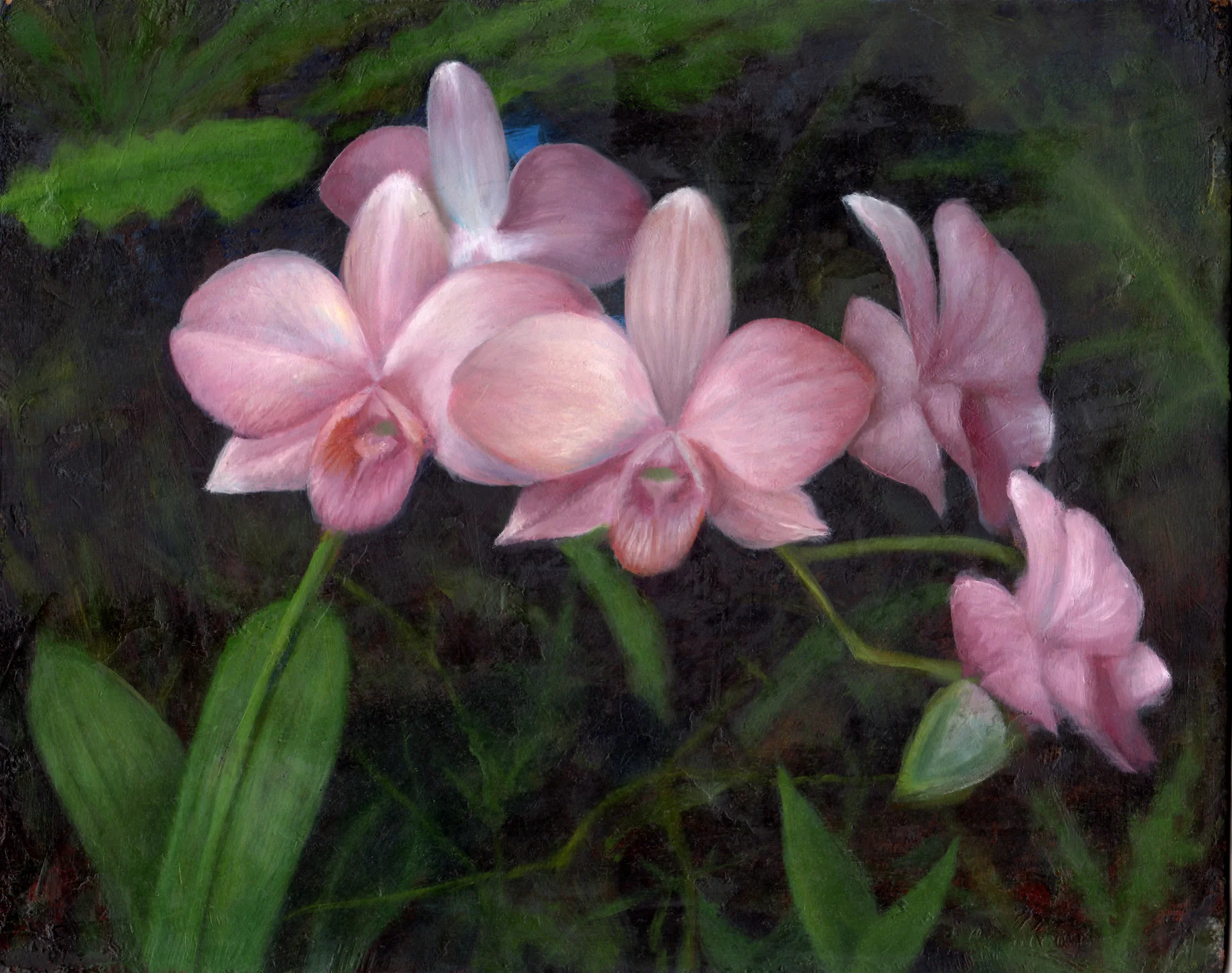 "Flowers from Punta Cana"