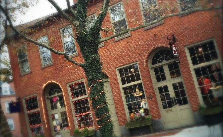 Beautiful Brick Buildings and Cobblestone Streets where Liz lives and works