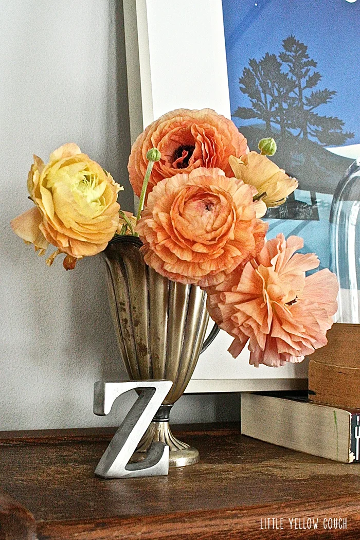 vignette6.jpg