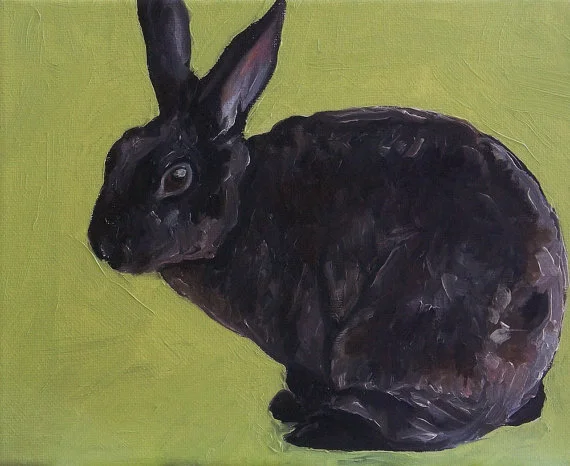 Copyright The Dog Color, 2014