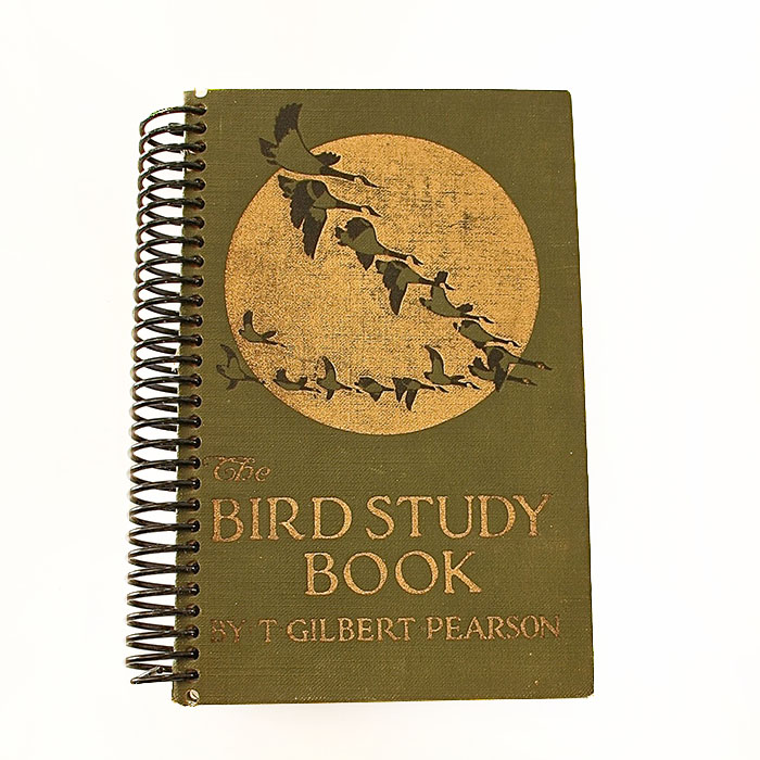 BirdStudy.jpg