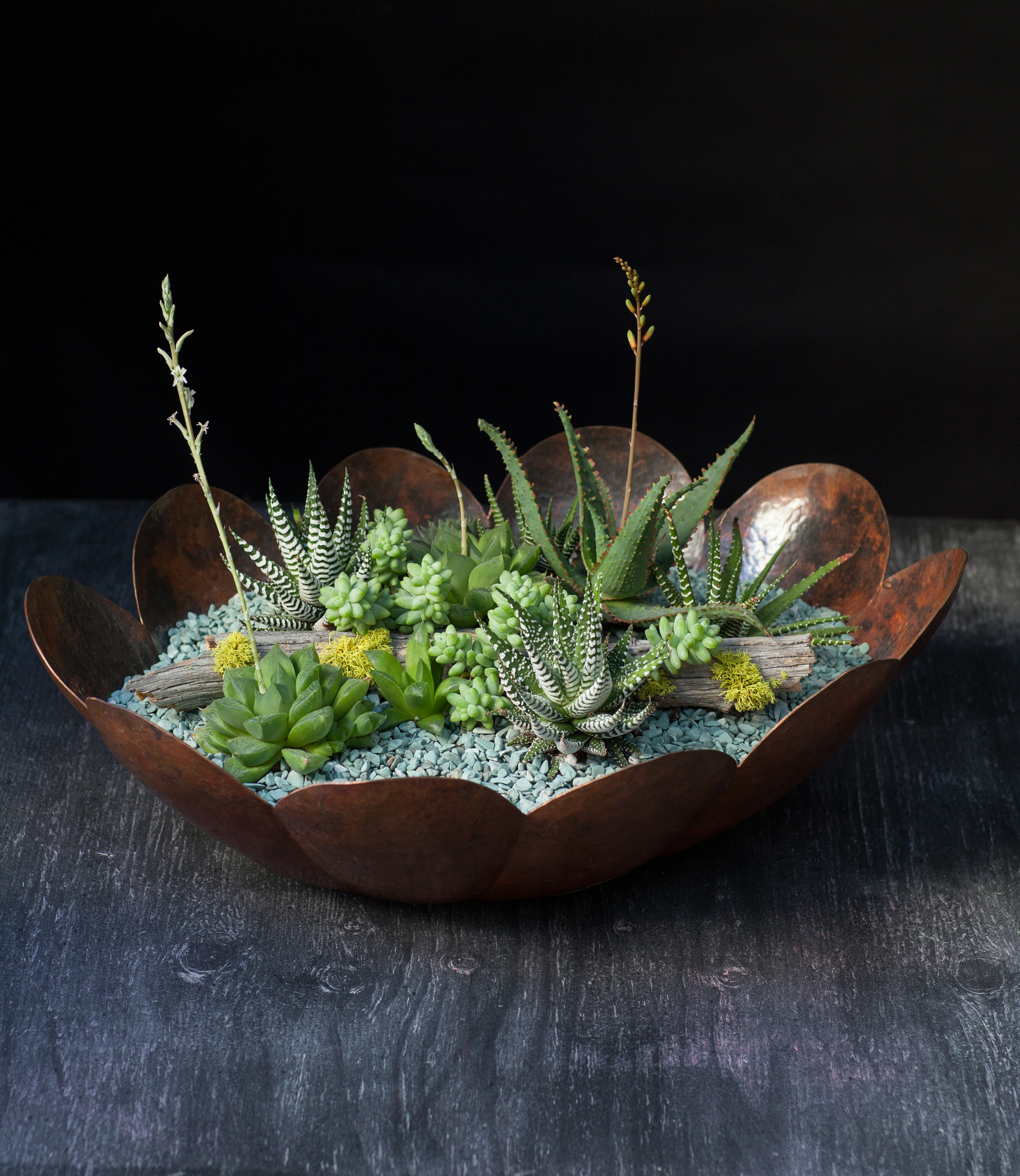 Excerpted from The Plant Recipe Book by Baylor Chapman (Artisan Books). Copyright (c) 2014. Photographs by Paige Green