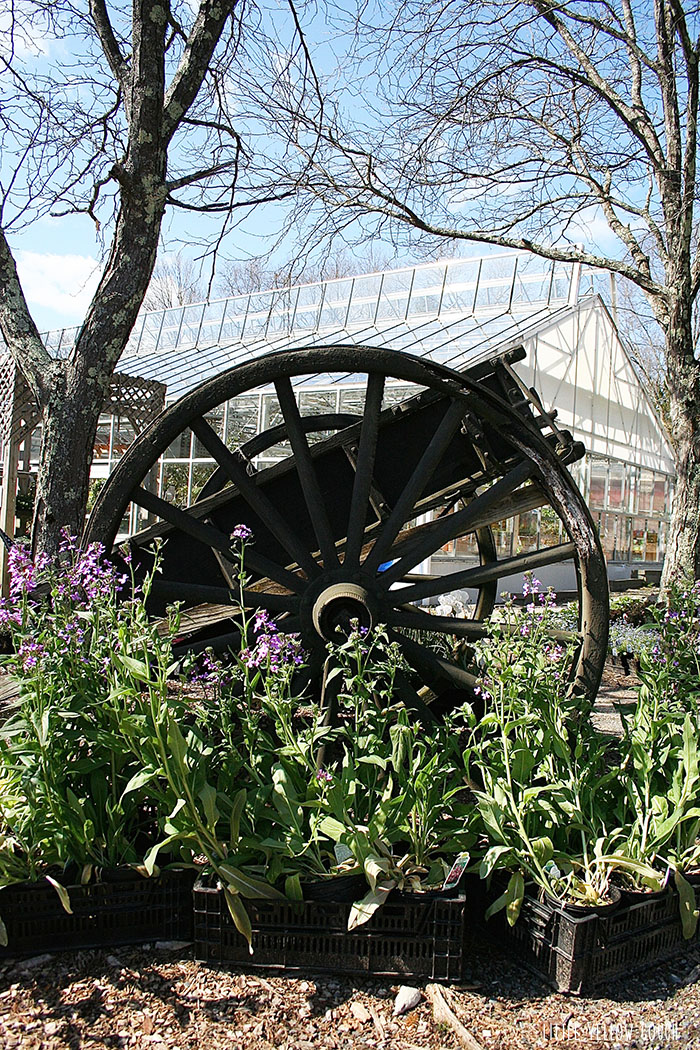 The entrance to Windy-Lo Nursery with the greenhouse in the background.