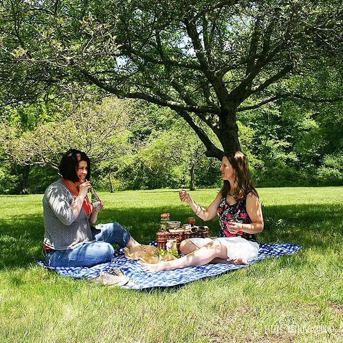 picnic6.jpg