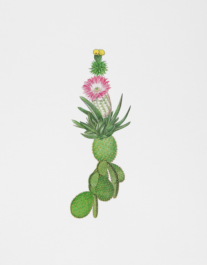Growth, No. 1, collage by Danielle Krysa
