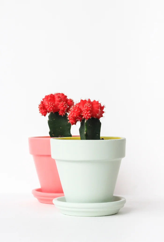 Photography provided by Rachel Smith - The Crafted Life