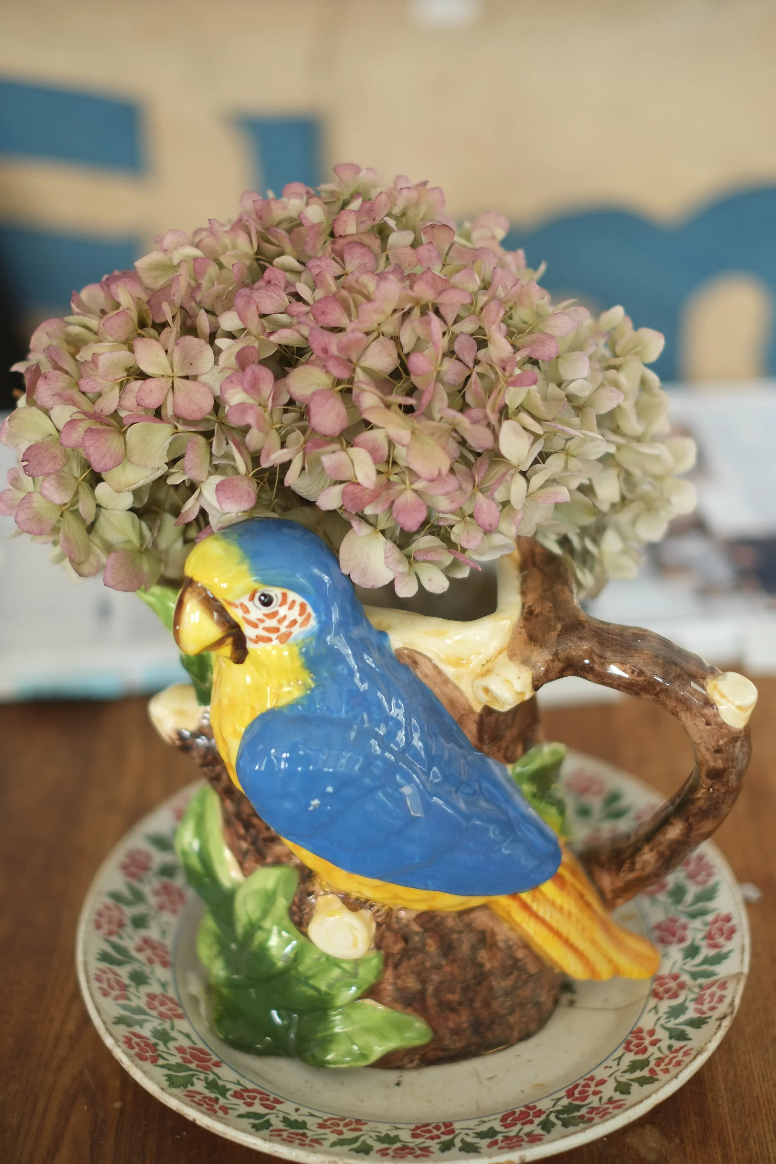 Photography provided by Mary Randolph Carter