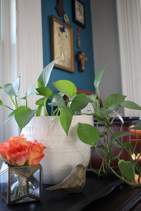Karen moved this large planter from her bedroom into the living room, adding a lot of energy to this area. The green leaves and white pot look great against the turquoise. Sometimes simply switching something from one room to another gives a space a whole new feel.