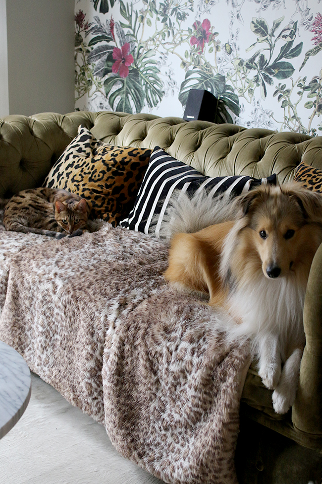 Photography provided by Swoonworthy - Meisha & Quito