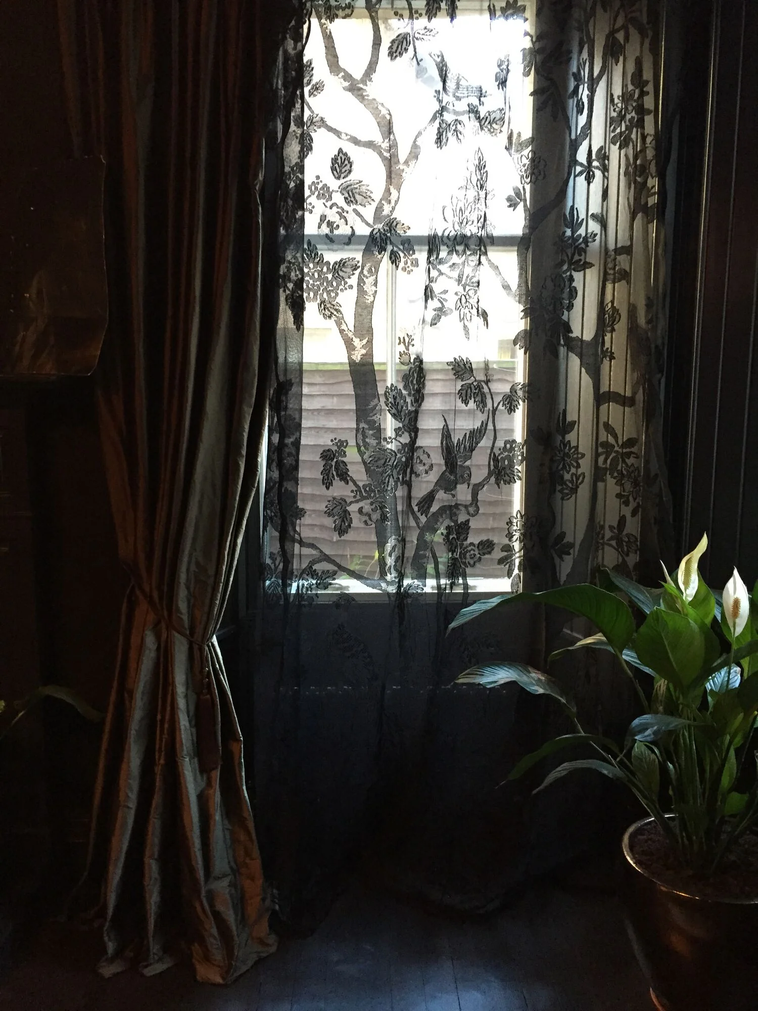 Curious Egg Madras lace 'Paradiso' Window Panel in Dining Room