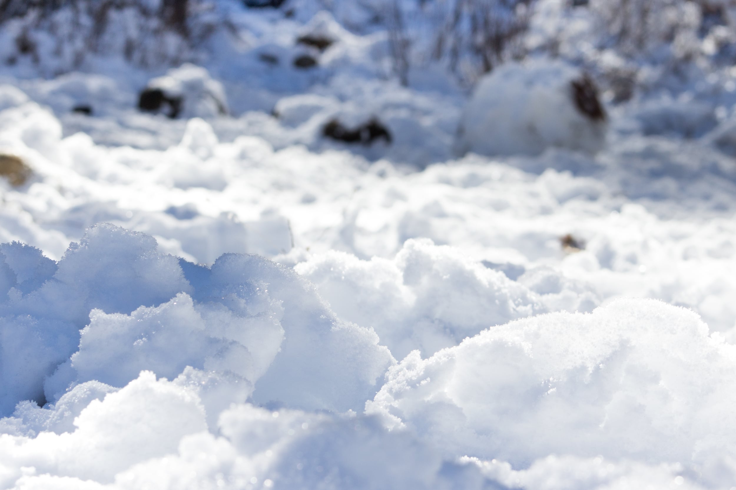 Up close and personal with this partly frozen, mostly mesmerizing snow...