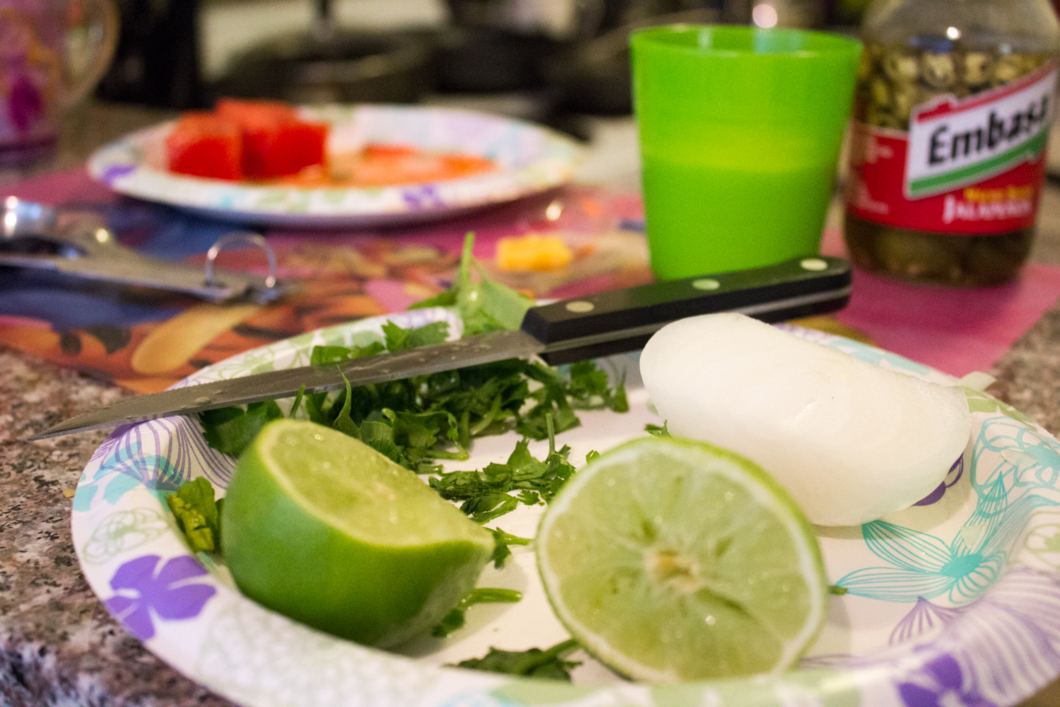The only meal I photographed, making salsa.