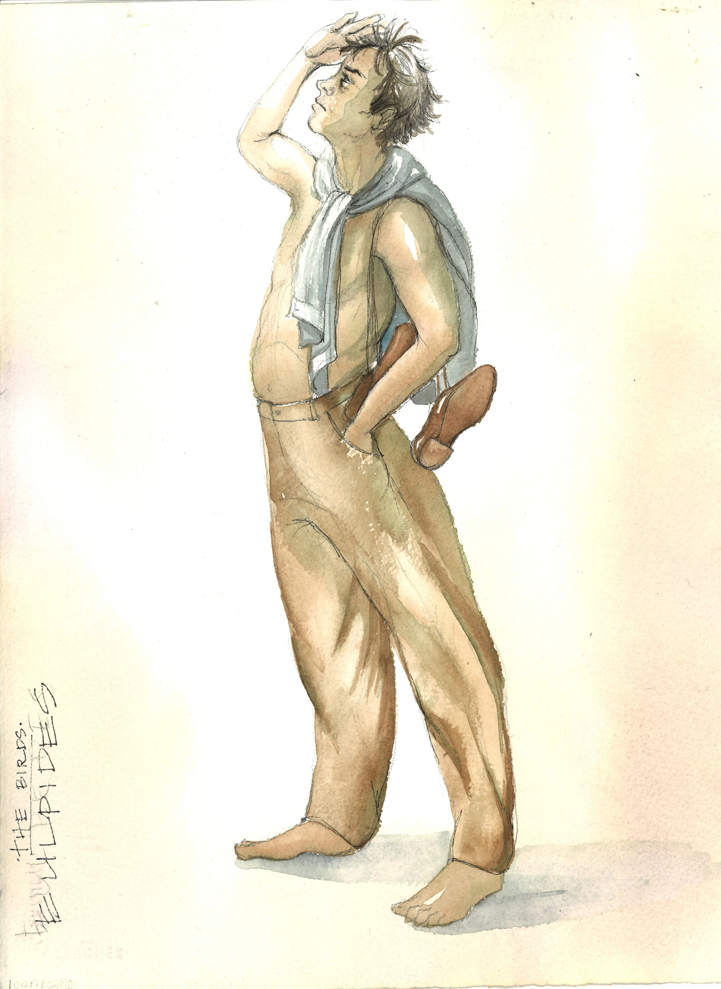 Eulpides