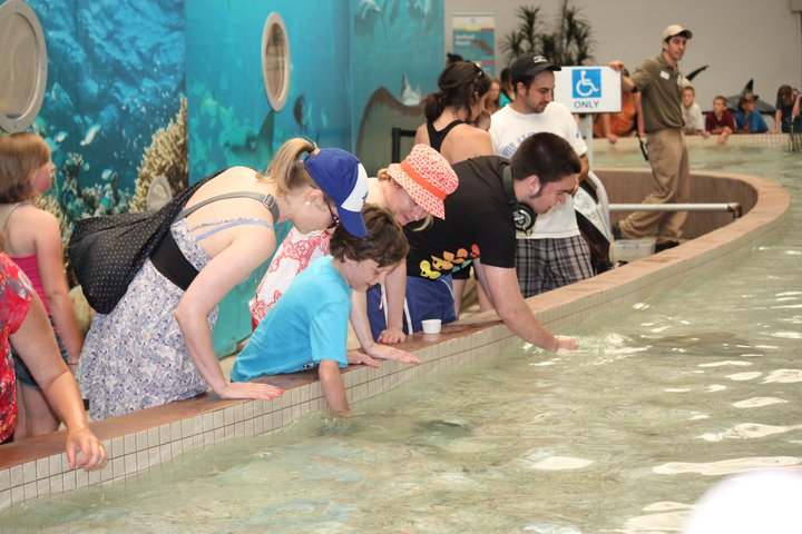 Touching Sting Rays - it's like petting puppies only slimier!