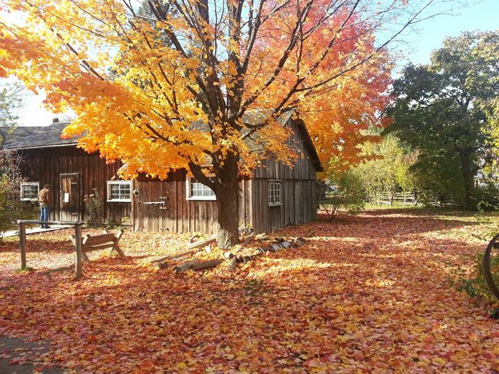 Swoon. Photo courtesy of my dad, who loves Black Creek as much as I do.
