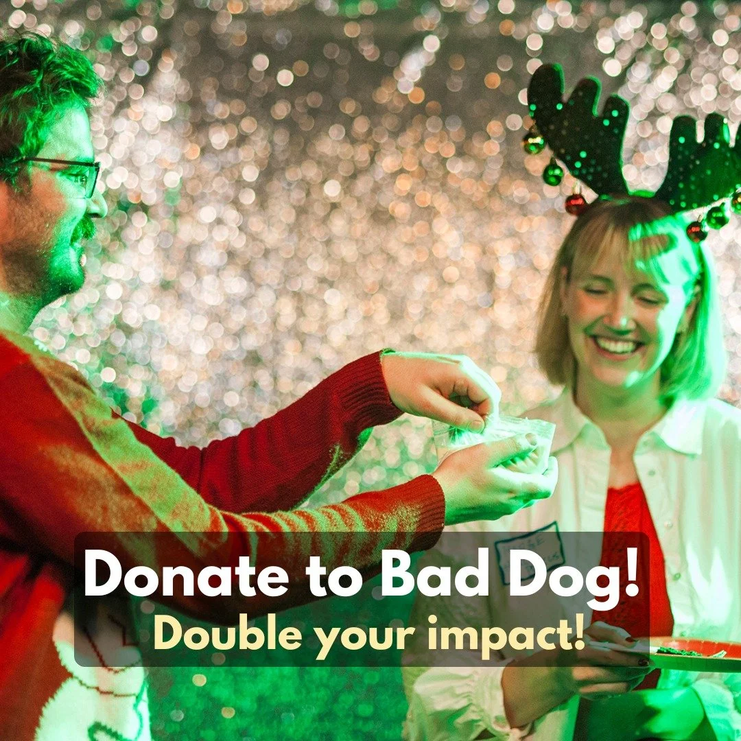 🎁 Donate to Bad Dog &amp; Double Your Impact!

Bad Dog Theatre is an artist run non-profit organization and a registered charity. Your financial support ensures that we are able to continue providing live, unscripted theatre to our audiences.

Our a