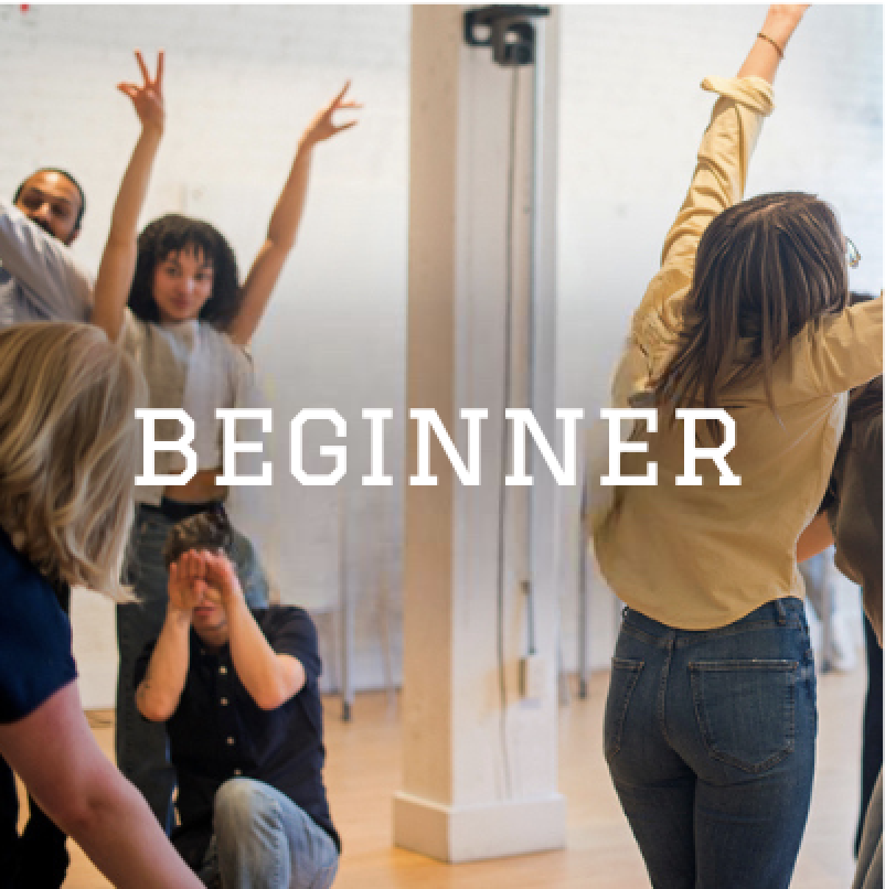 BeginnerProv.png