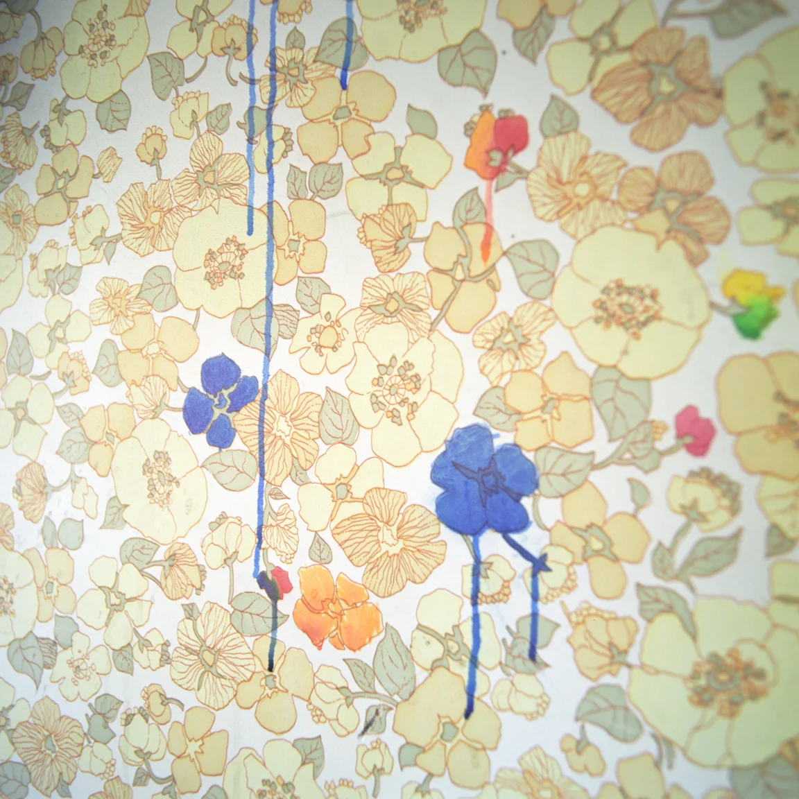 Alice carfrae-20.jpg