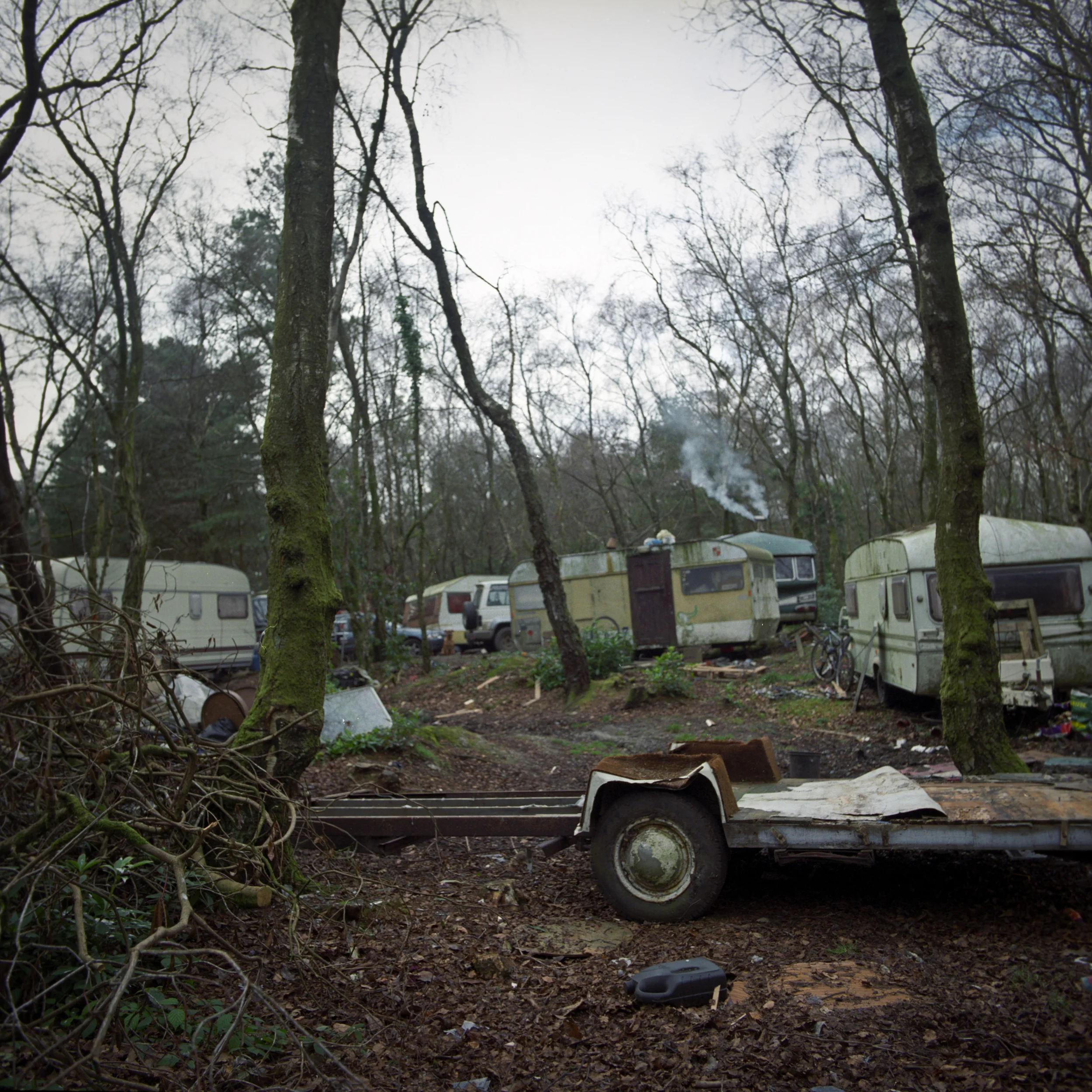 Alice Carfrae-22.jpg