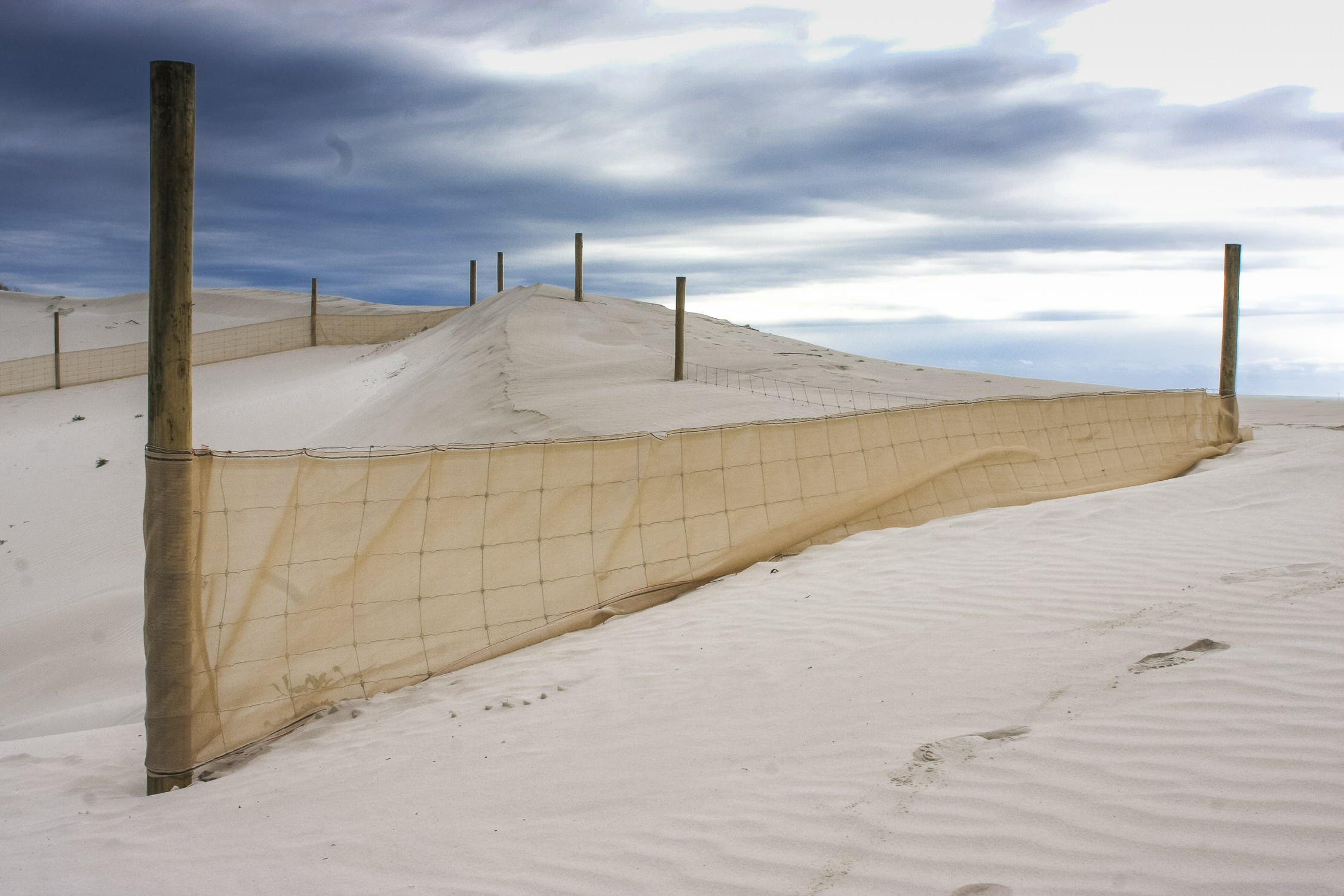  Establishment of fencing to reduce sand dune movement 