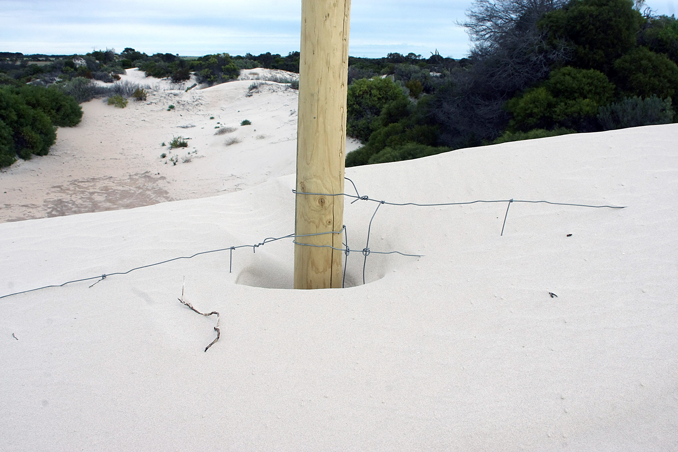  Example of the amount of sand movement due to lack of vegetation 