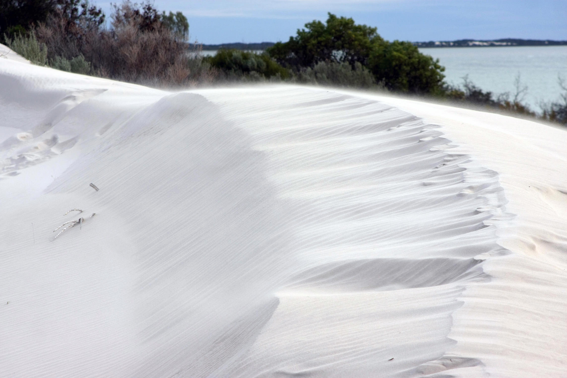  Sand dune movement caused by coastal winds 