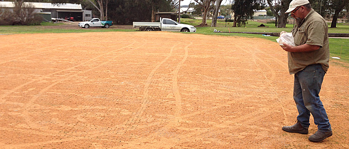 Application - hand spread fertiliser