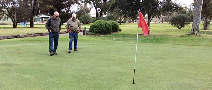Review and take soil, foliage and root samples for testing