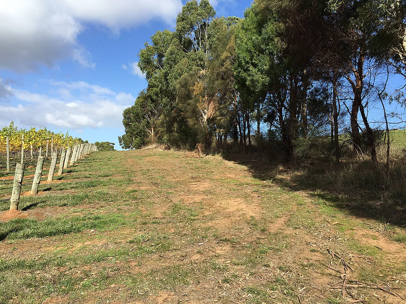 Windbreaks and Spray Drift Buffers 