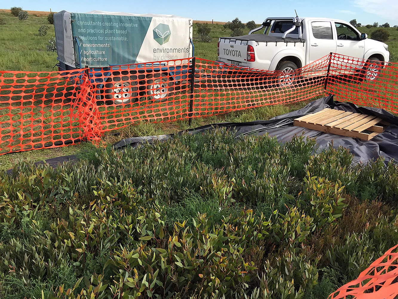 100,000 seedlings planted and 400 ha of overall land restoration