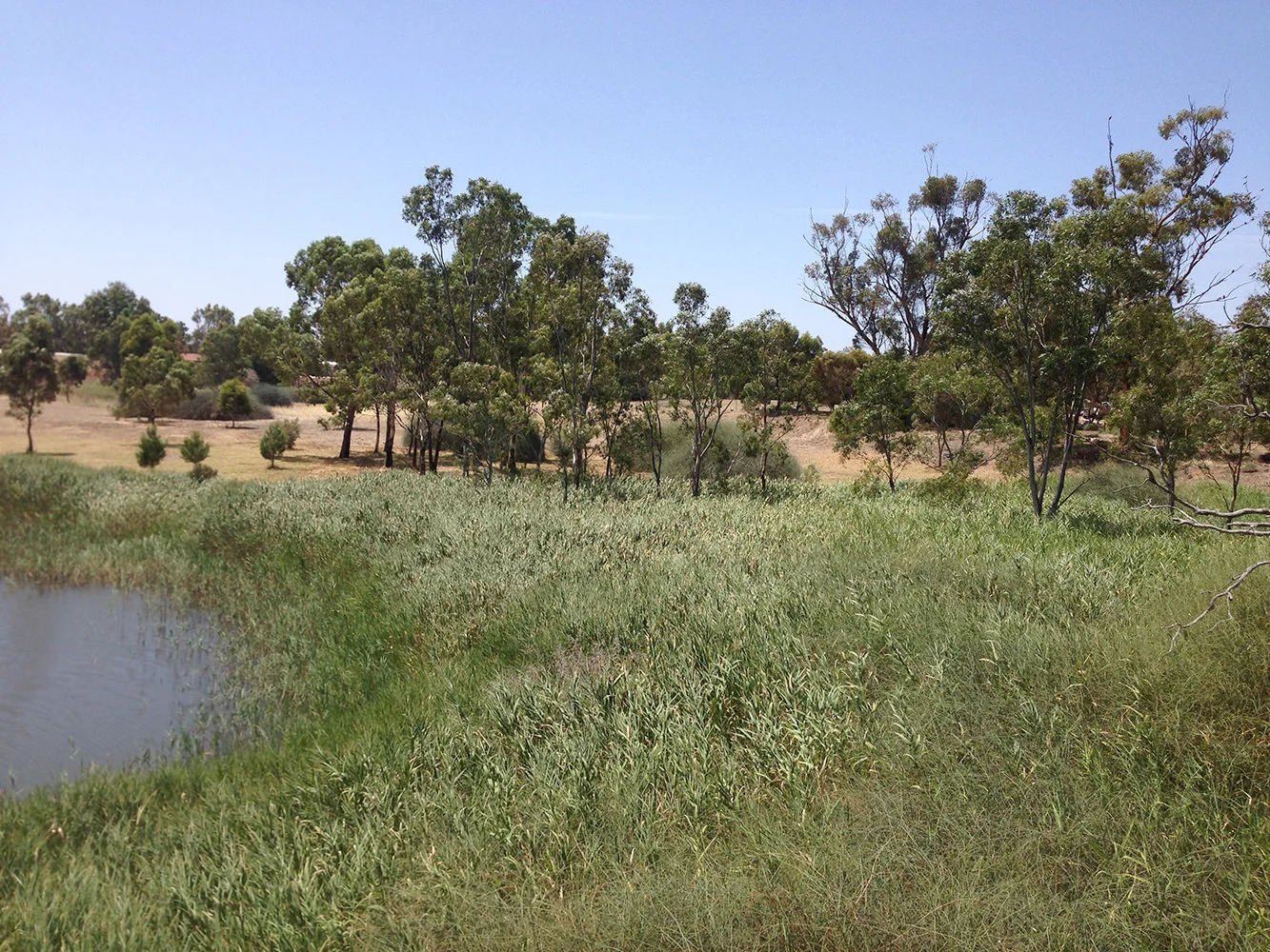 Native Vegetation Plans