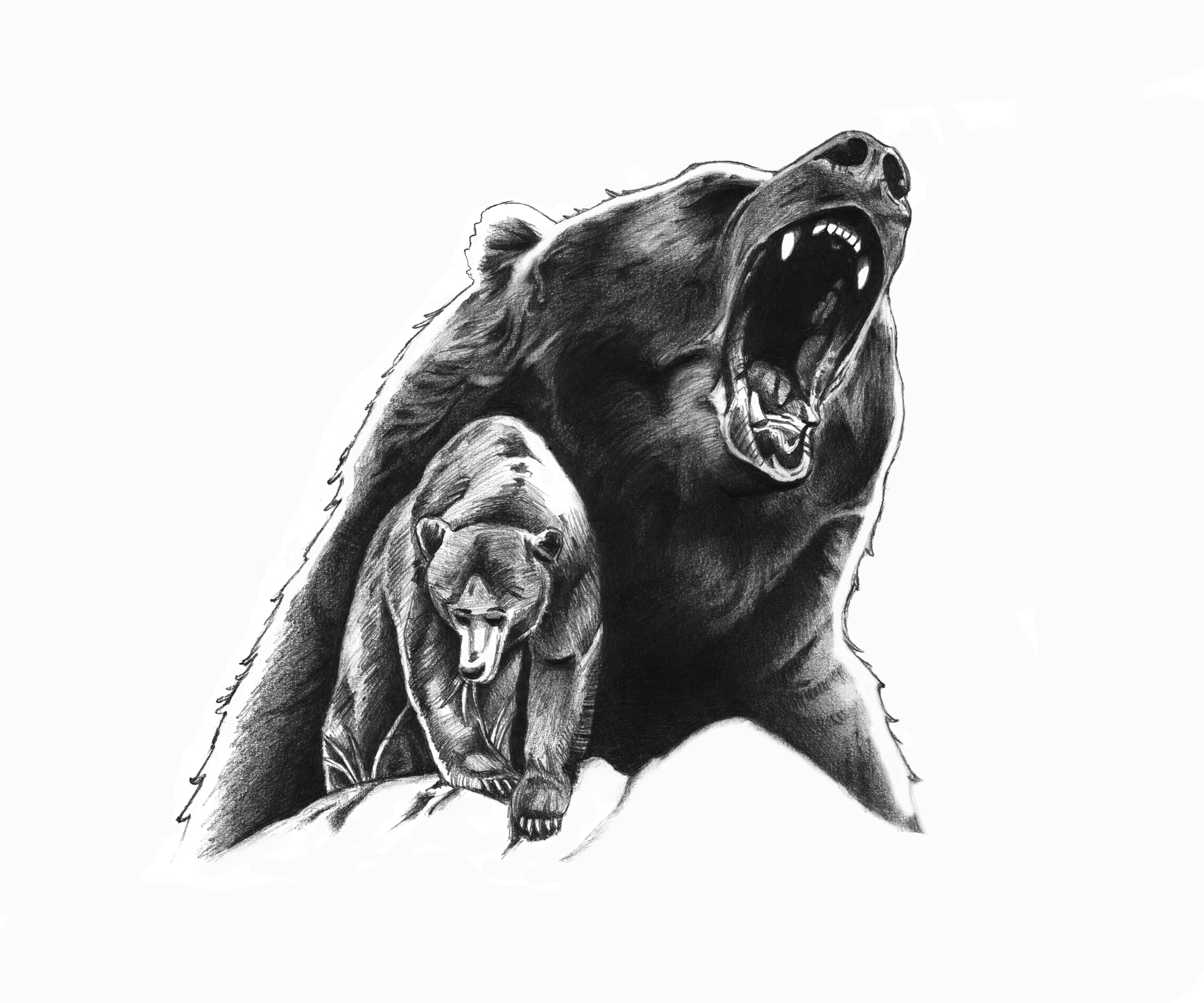 Brown Bears